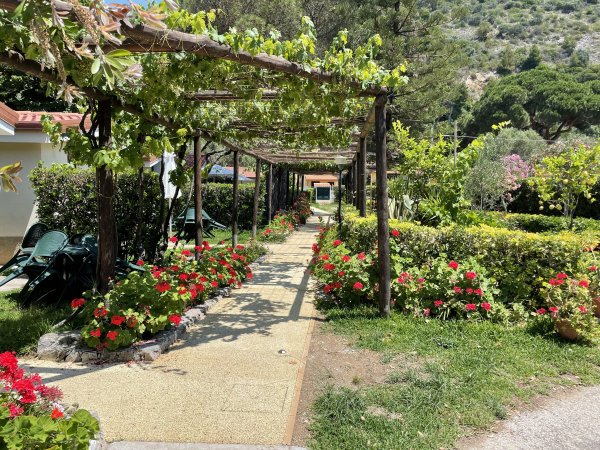 Un percorso ombreggiato da un pergolato con fiori rossi sui lati.
