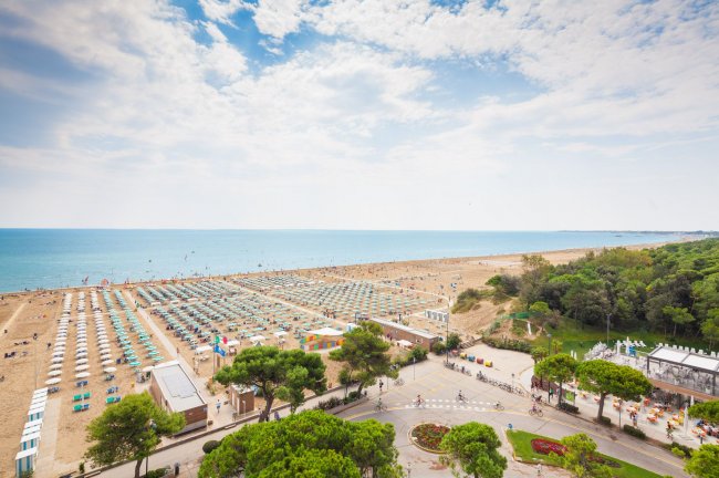 Spiaggia con file di ombrelloni vicino a una strada e alberi.