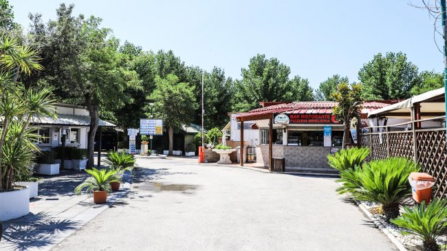 Zona ingresso campeggio con un bar e molte piante.