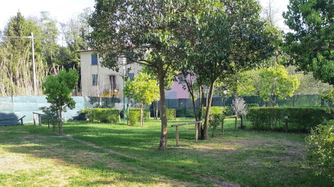 Giardino alberato con prato e edificio sullo sfondo.