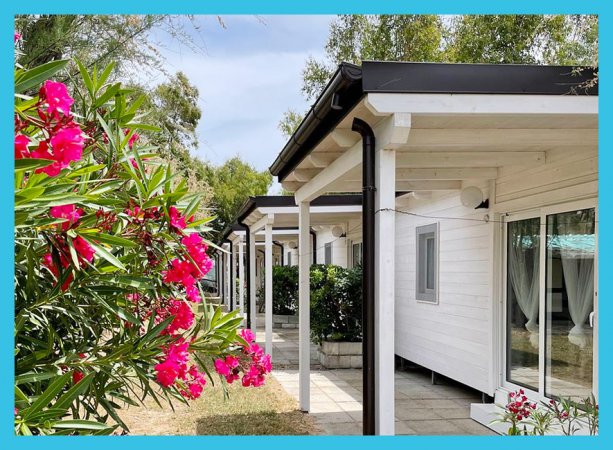 Bungalow bianchi con fiori rosa in primo piano.