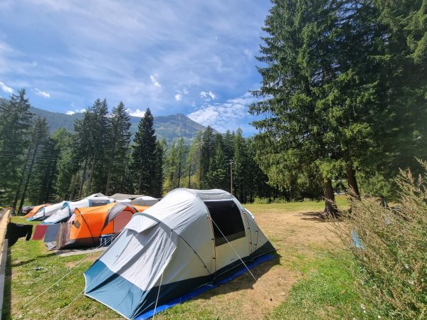 Tende da campeggio in una foresta montana.