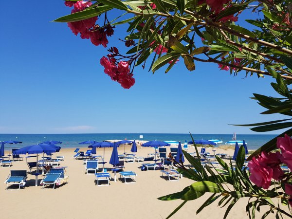 Spiaggia con ombrelloni e fiori rosa.