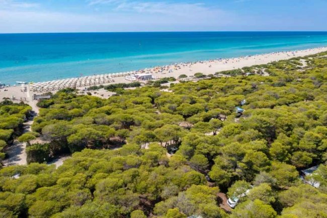 Una spiaggia sabbiosa con file di ombrelloni e mare azzurro.