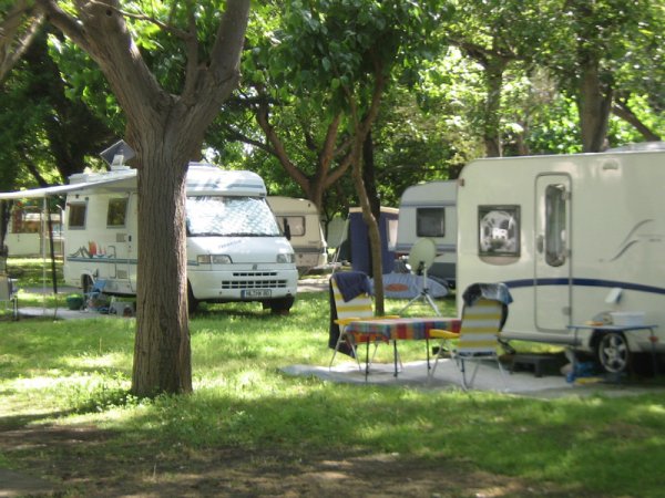 Roulotte parcheggiate in un'area verde.