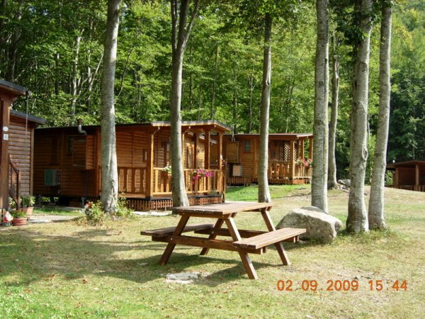 Area picnic con casette in legno in un bosco.