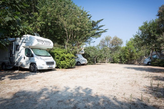Camper parcheggiati sotto alberi.