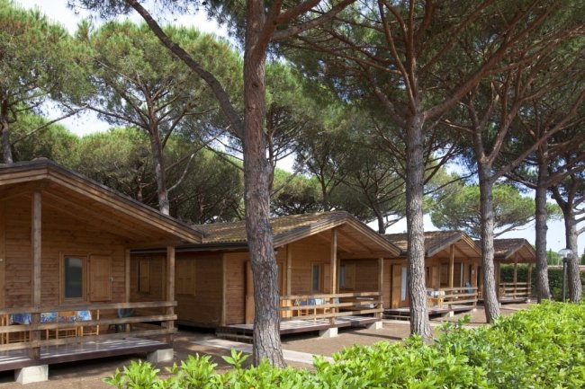 Cabine in legno tra pini verdi.