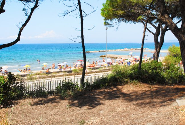 Vista su una spiaggia affollata attraverso alberi.