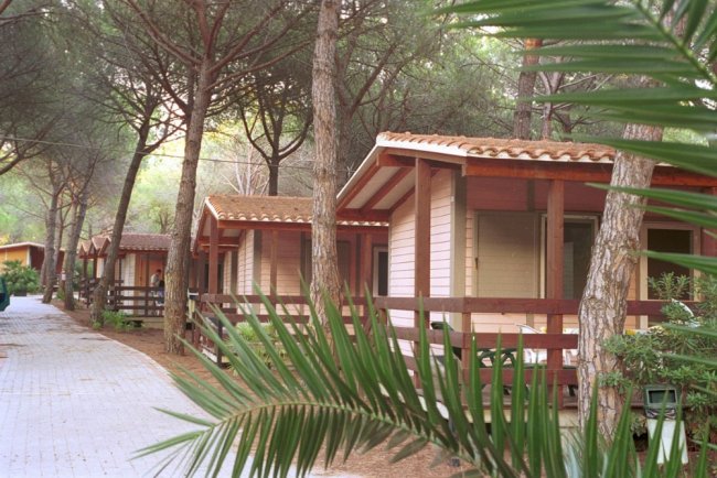Bungalow in legno con tetti spioventi lungo un sentiero, ombreggiati da pini.