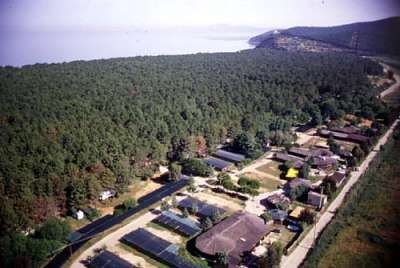 Una vista aerea di un villaggio costiero con una foresta di conifere vicino al mare.