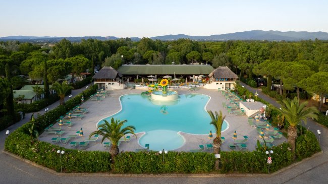 Vista dall'alto di una piscina circondata da sedie a sdraio e palme.