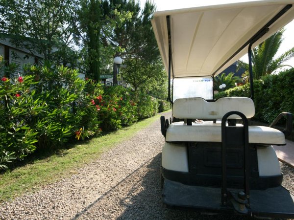 Golf cart su un sentiero con vegetazione rigogliosa.