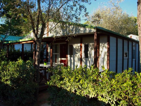 Cottage tra cespugli e alberi.