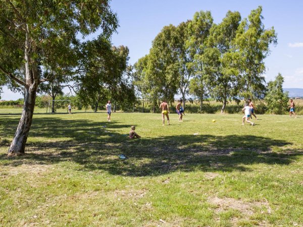 Persone giocano su prato sotto alberi.