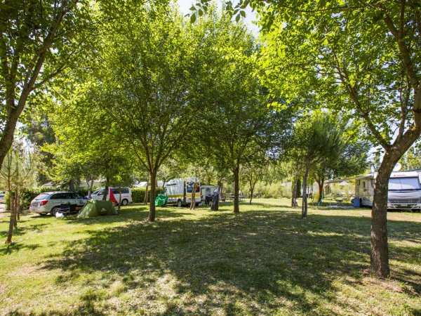 Area campeggio con alberi e roulotte.