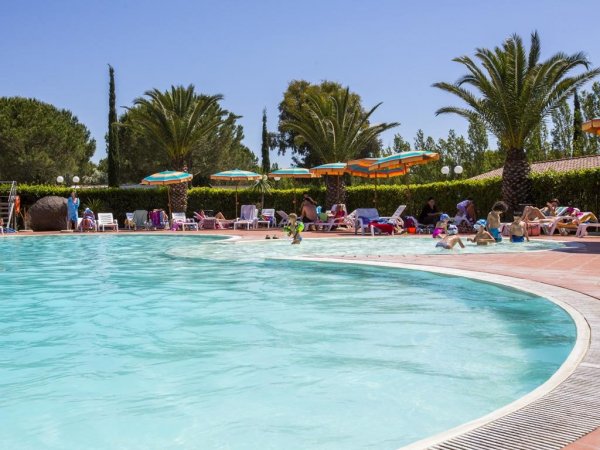 Una piscina con palme e lettini.