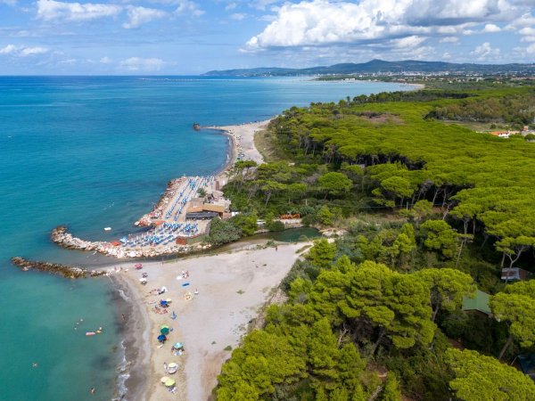 Veduta aerea di una spiaggia e foresta sul mare.