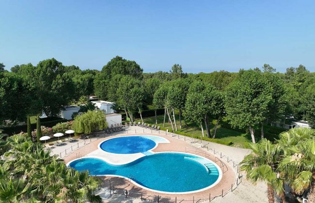 Piscina di forma unica circondata da alberi verdi.