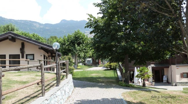 Strada alberata con villette e vista montagne.