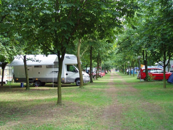 Camper parcheggiato accanto agli alberi.