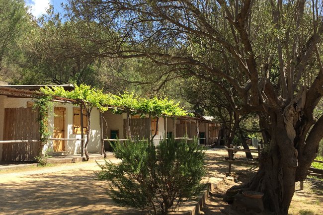 Bungalow rustici tra alberi ombreggiati.