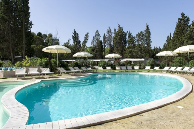 Piscina con lettini e ombrelloni fiancheggiata da alberi.