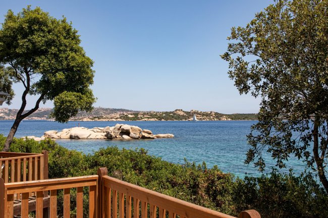 Vista mare con scogli, alberi e una barca a vela.