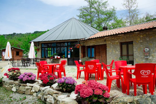 Caffetteria all'aperto con sedie rosse e fiori.