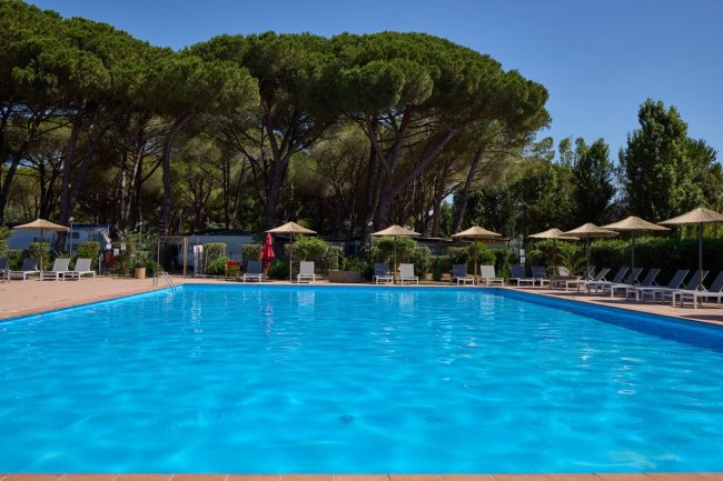 Piscina con lettini e grandi pini sullo sfondo.