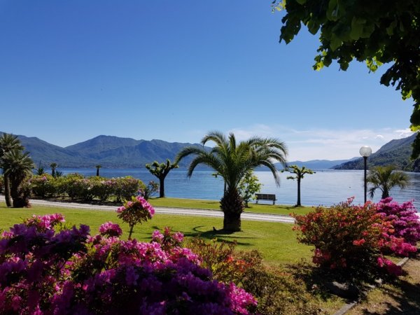 Giardino fiorito con vista sul lago e montagne.