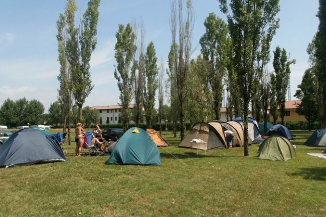 Campeggio con tende su un prato e alberi.