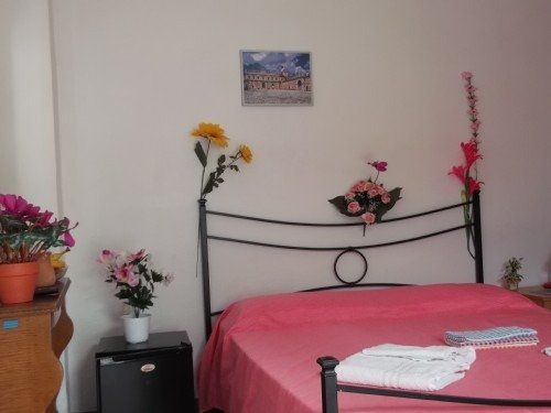 Camera da letto con pareti bianche, letto matrimoniale rosa, fiori decorativi.