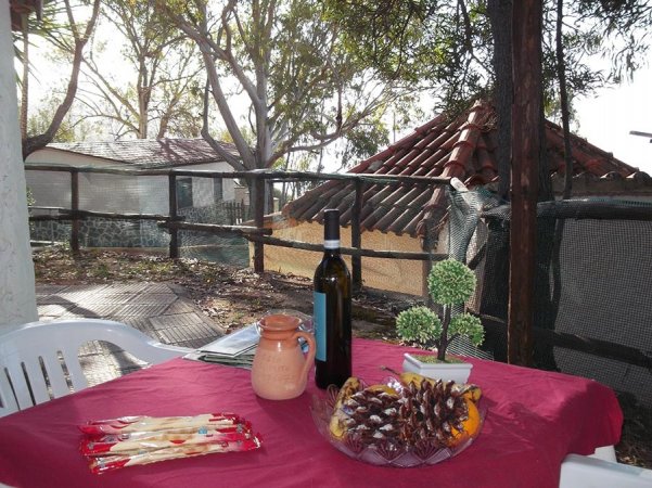 Tavolo all'aperto con vino e antipasti su tovaglia rossa, circondato da alberi.