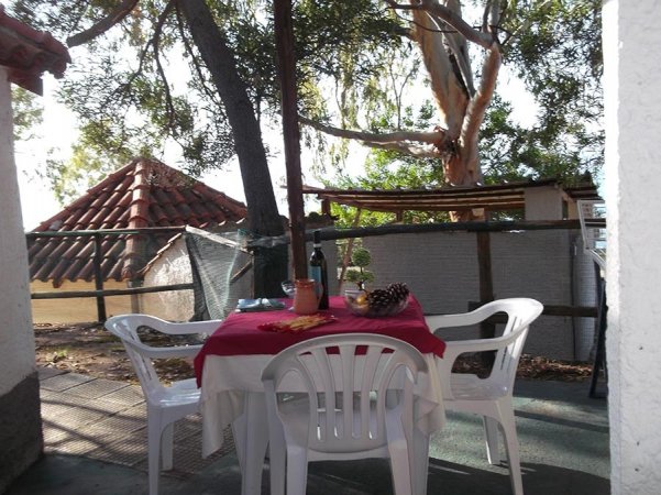 Tavolo apparecchiato con tovaglia rossa sotto un albero vicino a un edificio.