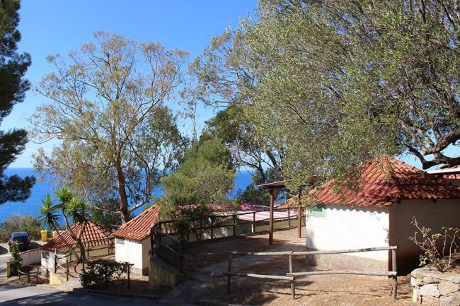 Case con tetti rossi tra alberi e recinzione in legno, vista mare sullo sfondo.