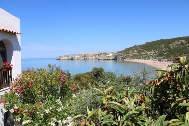 Vista panoramica su una baia, piante in primo piano.