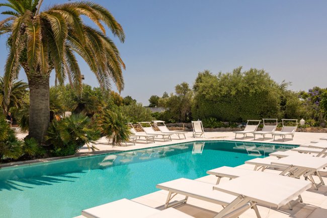 Piscina con lettini e palme.