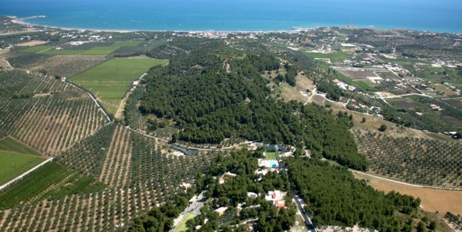 Veduta aerea di campi agricoli e colline con il mare in lontananza.