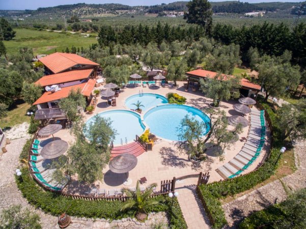 Piscina circondata da alberi e sdraio.