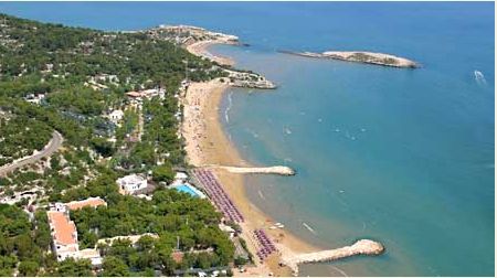 Vista aerea di una spiaggia sabbiosa con ombrelloni e mare azzurro.