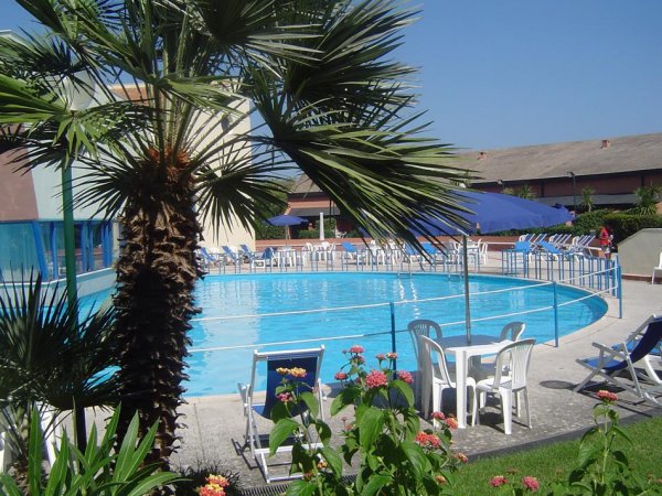 Piscina circondata da palme e sedie.