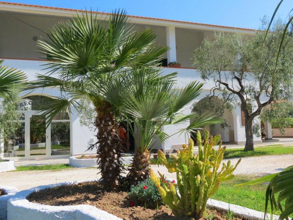 Giardino con palme e cactus davanti a un edificio bianco.