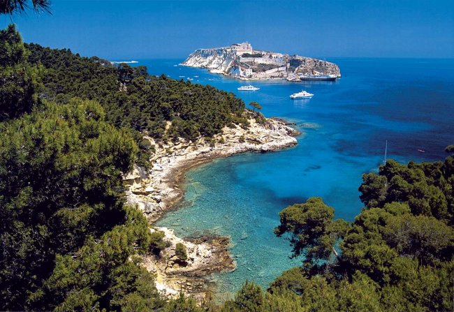 Baia azzurra con vegetazione e isola sullo sfondo.