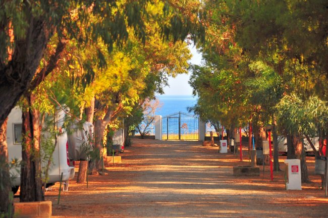 Viale alberato che conduce a un cancello con vista sul mare.