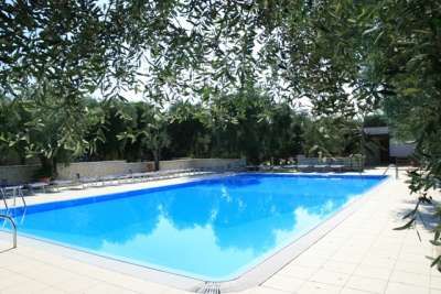 Una piscina circondata da alberi, con lettini e pavimento in pietra attorno.