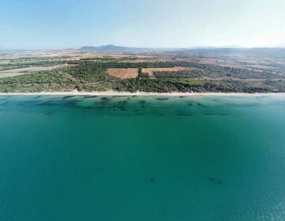 Veduta aerea di costa e campi verdi.