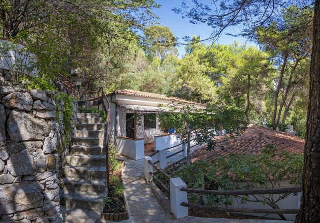 Casa tra gli alberi con scale in pietra e terrazza.