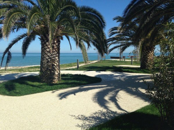 Palme lungo un sentiero vicino alla spiaggia.