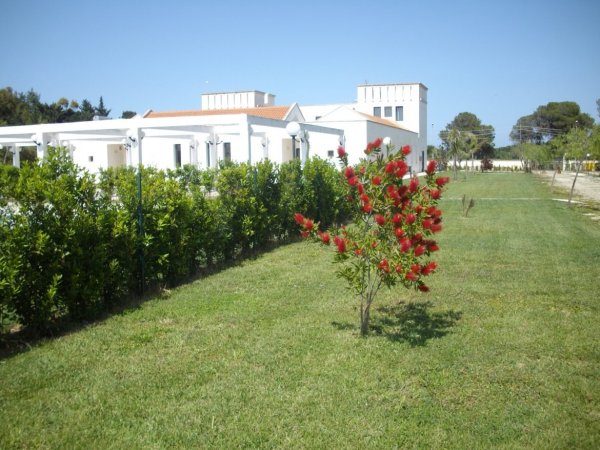 Viale con prato, siepe e edificio bianco.